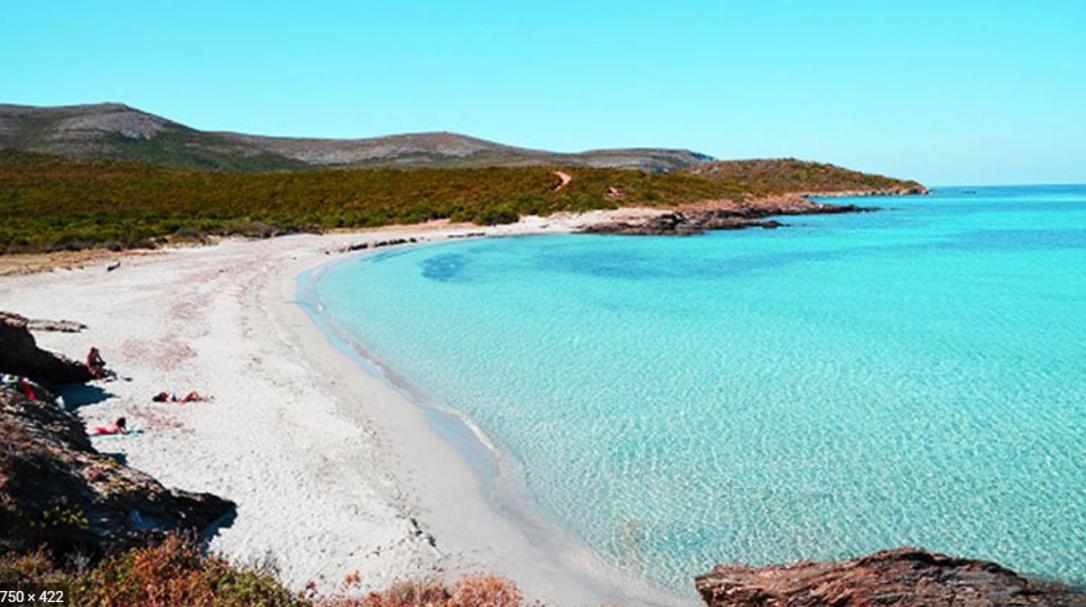 Coin De Paradis Vue Dominante Sur Mer, Montagne Et Tour Genoise Avec Jacuzzi Pino Zewnętrze zdjęcie