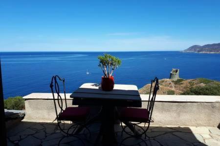 Coin De Paradis Vue Dominante Sur Mer, Montagne Et Tour Genoise Avec Jacuzzi Pino Zewnętrze zdjęcie