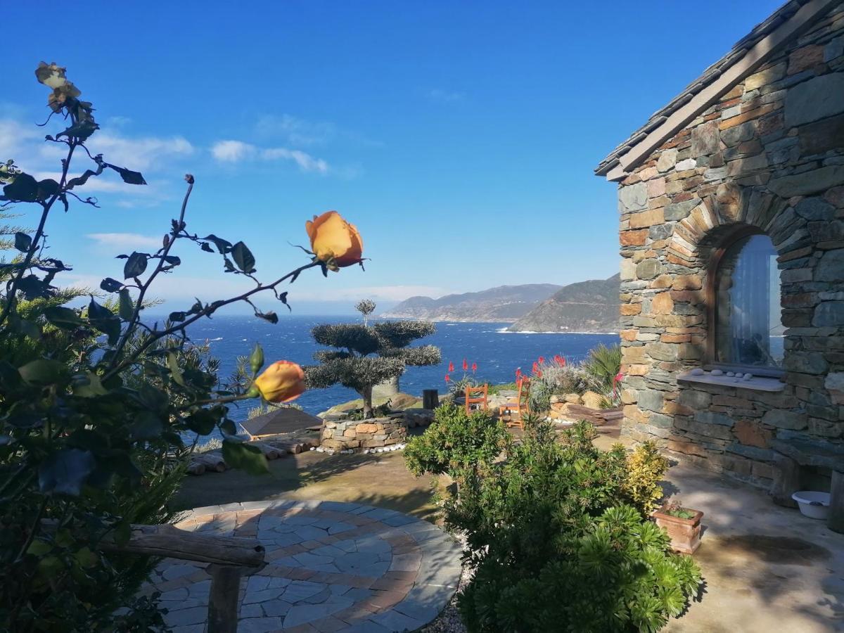 Coin De Paradis Vue Dominante Sur Mer, Montagne Et Tour Genoise Avec Jacuzzi Pino Zewnętrze zdjęcie