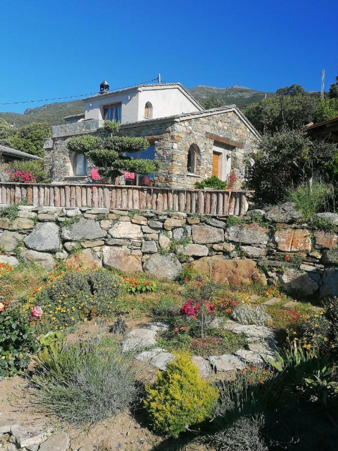 Coin De Paradis Vue Dominante Sur Mer, Montagne Et Tour Genoise Avec Jacuzzi Pino Zewnętrze zdjęcie