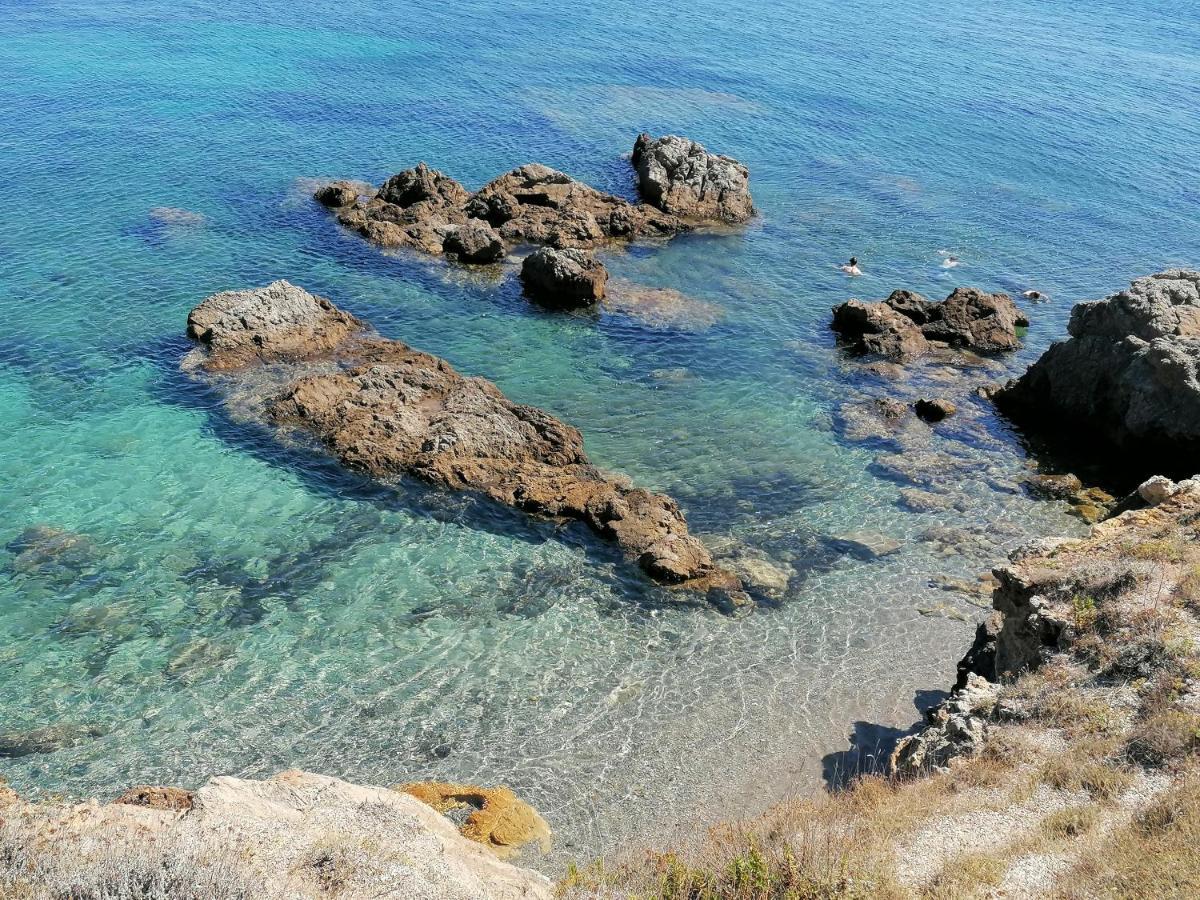 Coin De Paradis Vue Dominante Sur Mer, Montagne Et Tour Genoise Avec Jacuzzi Pino Zewnętrze zdjęcie