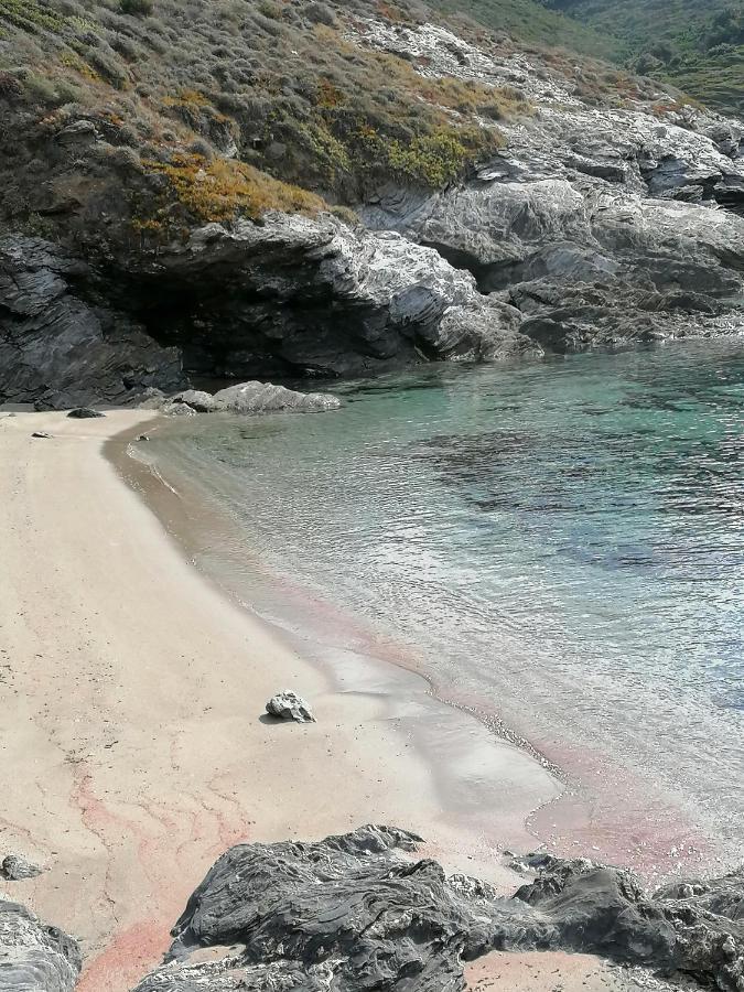 Coin De Paradis Vue Dominante Sur Mer, Montagne Et Tour Genoise Avec Jacuzzi Pino Zewnętrze zdjęcie