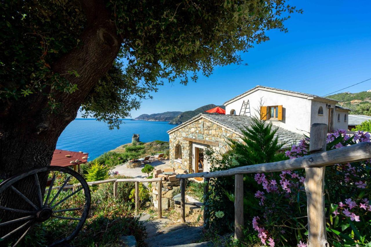 Coin De Paradis Vue Dominante Sur Mer, Montagne Et Tour Genoise Avec Jacuzzi Pino Zewnętrze zdjęcie
