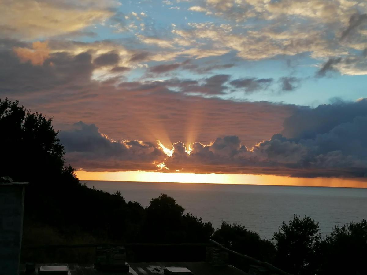 Coin De Paradis Vue Dominante Sur Mer, Montagne Et Tour Genoise Avec Jacuzzi Pino Zewnętrze zdjęcie