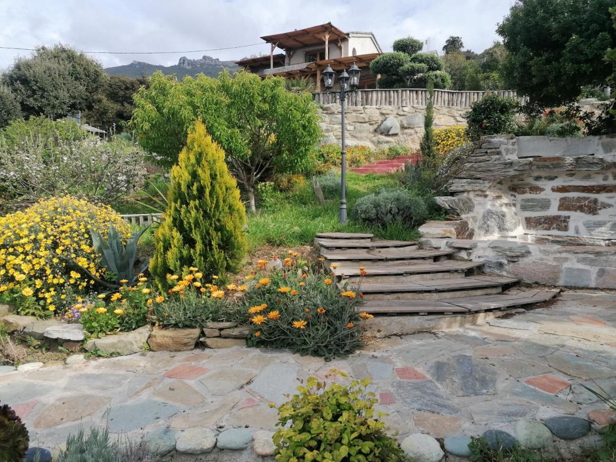 Coin De Paradis Vue Dominante Sur Mer, Montagne Et Tour Genoise Avec Jacuzzi Pino Zewnętrze zdjęcie